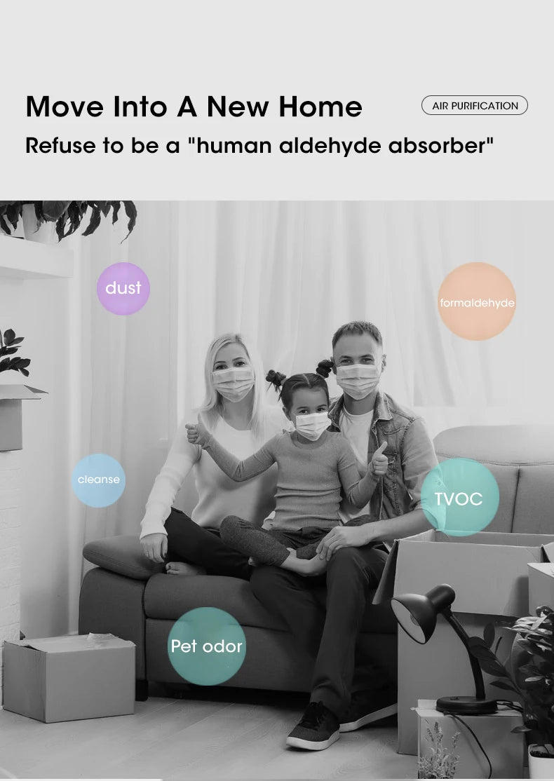 Mini Portable Air Purifier