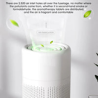 Mini Portable Air Purifier