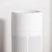 Mini Portable Air Purifier