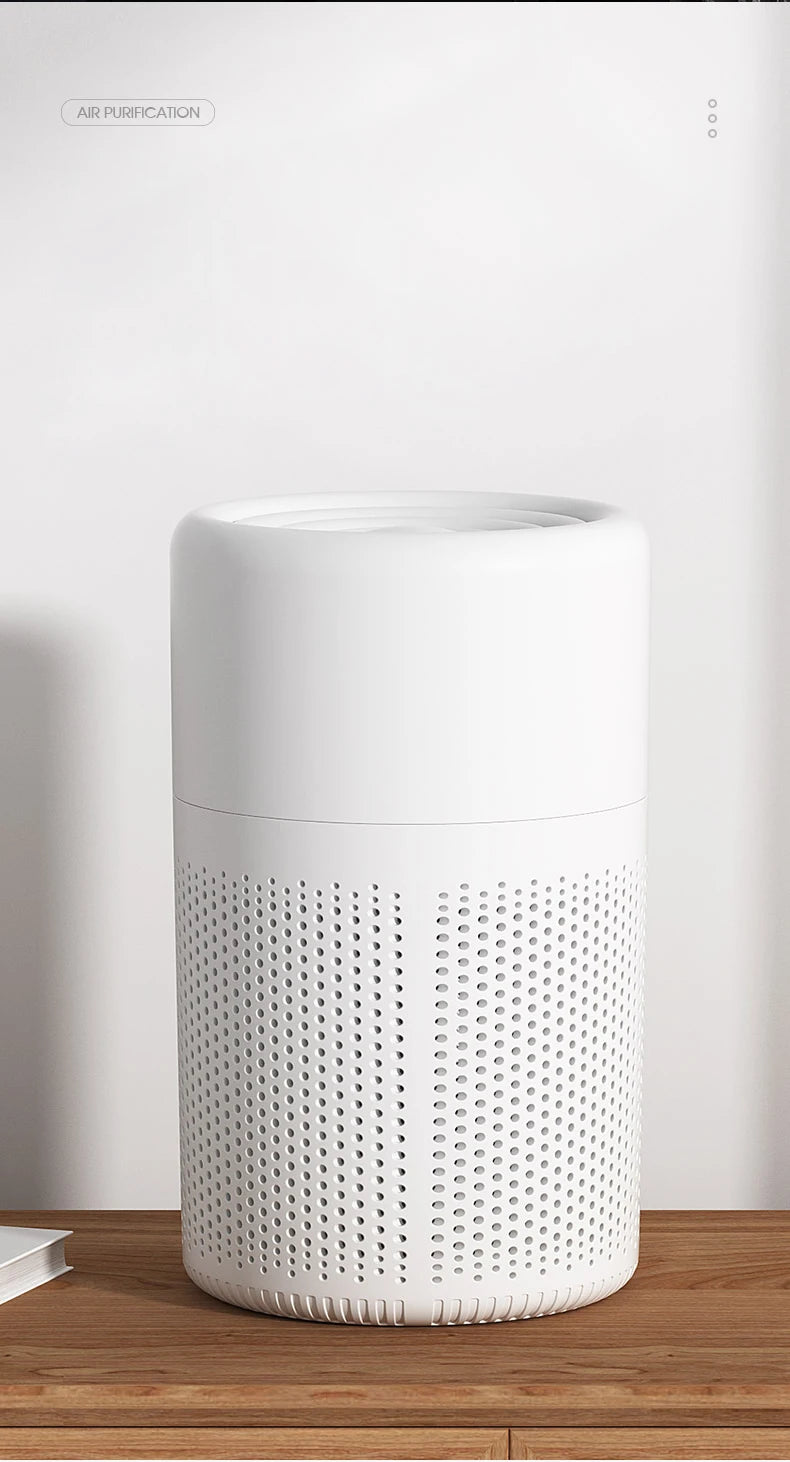 Mini Portable Air Purifier