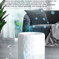 Mini Portable Air Purifier