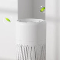 Mini Portable Air Purifier