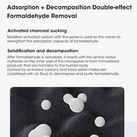 Mini Portable Air Purifier